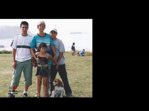 8 Rousky chien voyageur