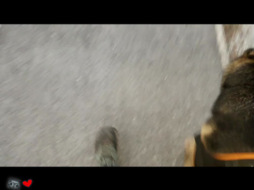 17 Les stars de la Croisette