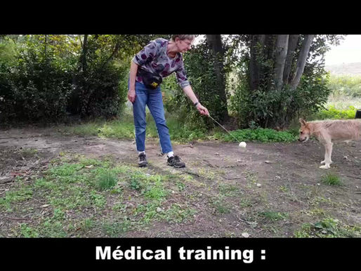 20 Vive les formations et les remises en question