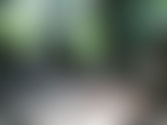 Mai 2011 : A la découverte de la terre promise