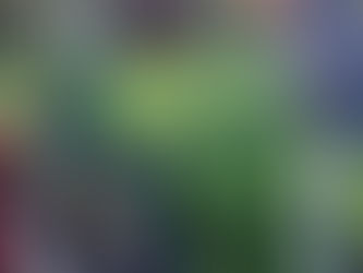 la P.AM. : des chiens et des enfants 