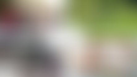 Summer 2025 Charitable Events in Sarnia-Lambton