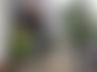 Top 10 Places to Shop Local This Holiday Season in Sarnia-Lambton