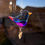 Thumbnail: Fantasy Art - Pretty Little Birds