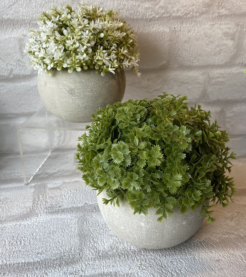 Thumbnail: Mini Faux Hebe Plants