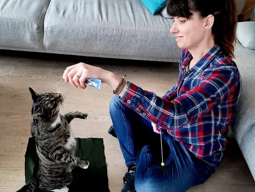 Woman on a living room floor teases a standing tabby cat with a treat, beside a gray couch and blue pillow.