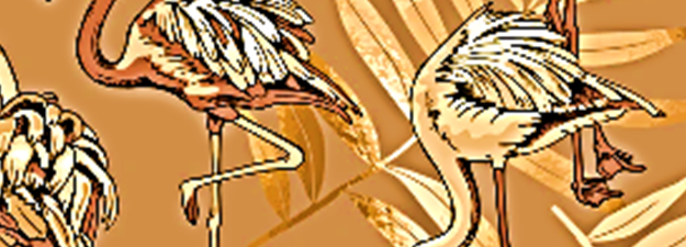 Flamingo-1