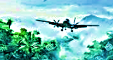 Plane in Amazon