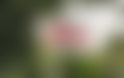 HEALING - DEVELOPMENT SITE ACQUIRED