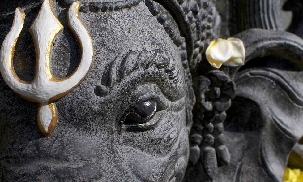 Is Yoga Politically Correct?