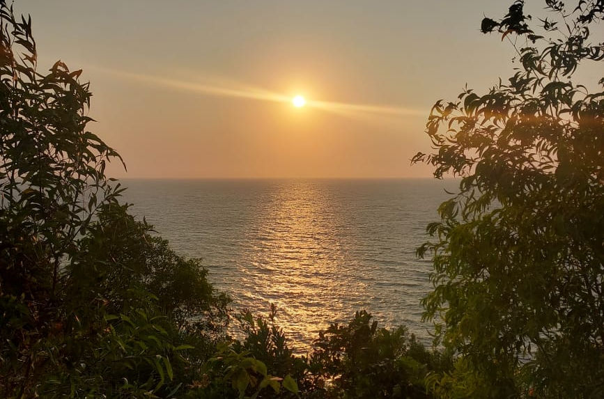 accommodation for 5-Month yoga teacher training course in south india