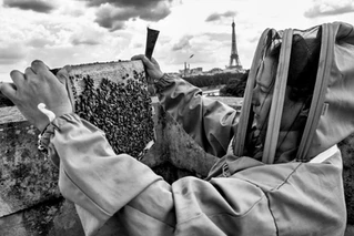 Reportage photo corporate Paris
