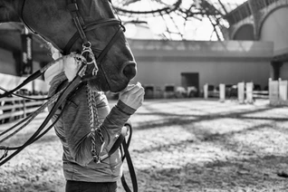 Une femme tient un cheval dont on voie le museau et qui cache le visage de la personne, arrière plan le grand palais à Paris.