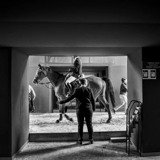 Passage dans un couloir d'un cheval avec son cavalier lors d'une compétition équestre, Paris Grand Palais.