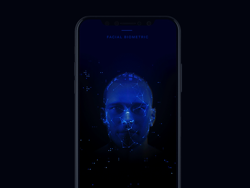face_biometrics_milkinside.gif