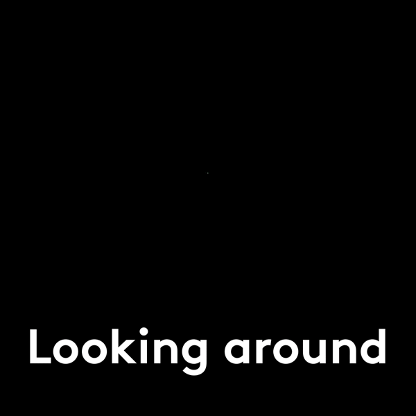 Looking-around.gif