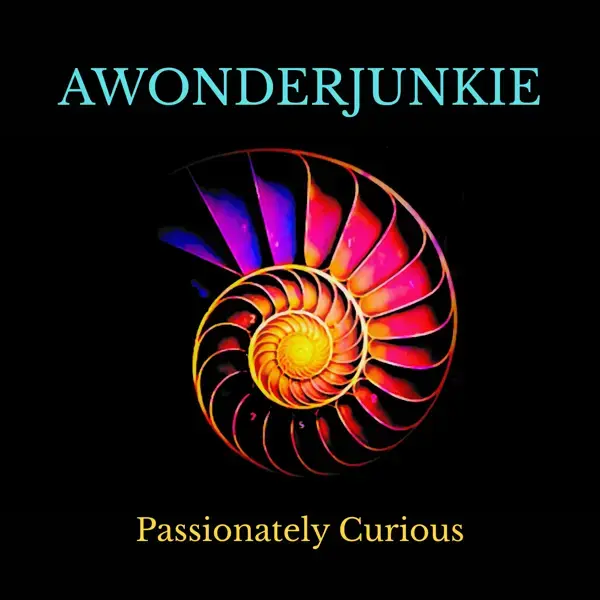 A Wonder Junkie