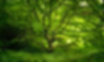 MBphotography-53.jpg