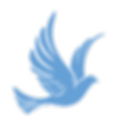 hospice bird (2).png