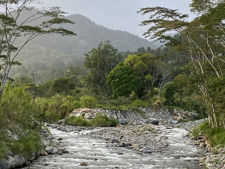 Converging Streams, Caldera River, Boquete, Panama