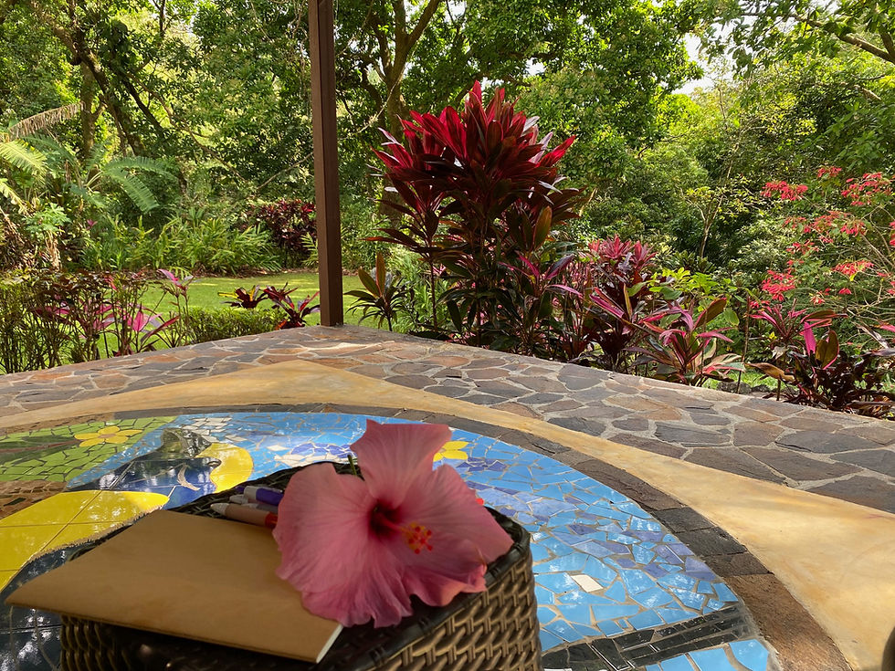 The Studio in the Treetops, Altos Del Maria, Panama