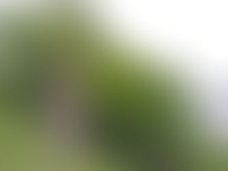 Az autizmus diagnózis nehézségei és átfedések más pszichiátriai diagnózisokkal - A diagnosztika nehézségei 3.