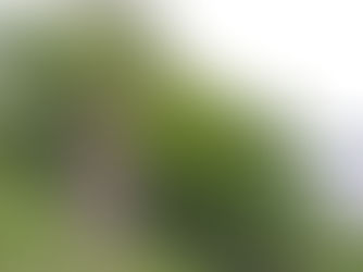 Az autizmus diagnózis nehézségei és átfedések más pszichiátriai diagnózisokkal - A diagnosztika nehézségei 3.