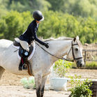 Horse and Rider at Horse Show