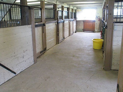 Indoor Barn, Boarding Barn, Boading Pickering, Belinda La Belle, LaBelle, Stable, Horseback Lessons Toronto, Ajax, Pickering, Oshawa