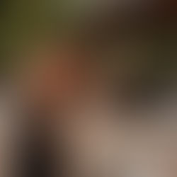 poročni organizator