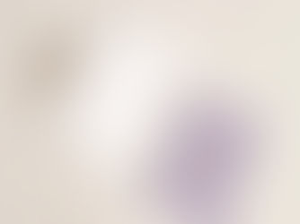 Poročno vabilo in tiskovine - kolekcija 18