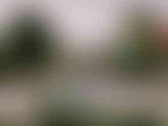 Poroka v Hiši posebne sorte