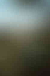 Moderno klasična poroka