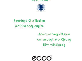 Stigamót GS & Ecco