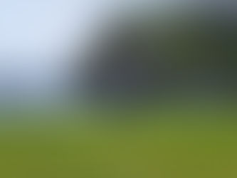 Íslandsmótið í höggleik í Vestmannaeyjum