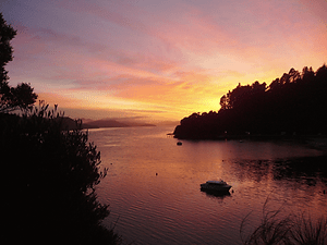 Port Gore Wilderness Adventures