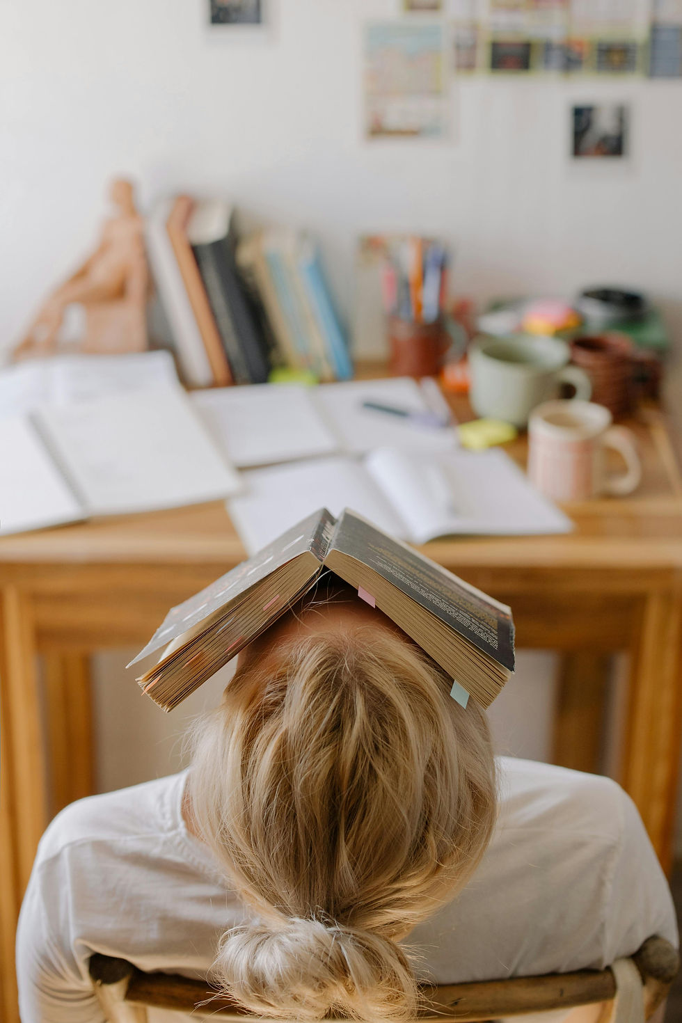 Woman asleep with a book over her head