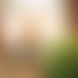 a coffee cup sitting on a pile of books next to a plant