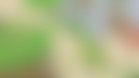 【 旅行青蛙! #趨勢新知 】