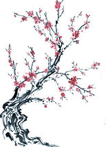 chinese-tree-pink-blossom.jpg