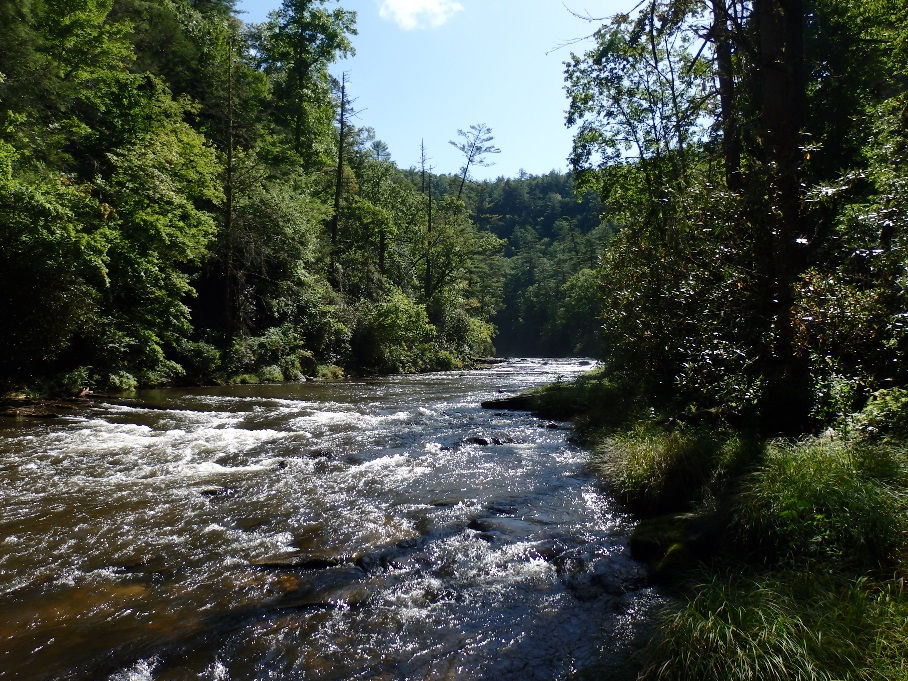 Georgia