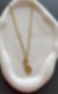 Golden Rose Front Open Necklace
