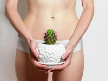 Your First Brazilian Wax: What to Expect and How to Glow Like the Moon