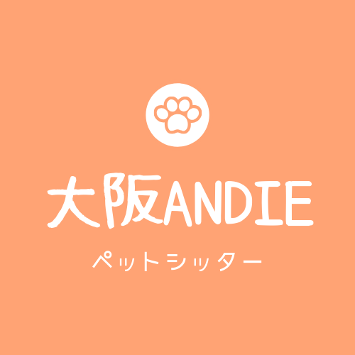 Weddingplan ペットシッター大阪アンディ Weddingplan ペットシッター大阪アンディ