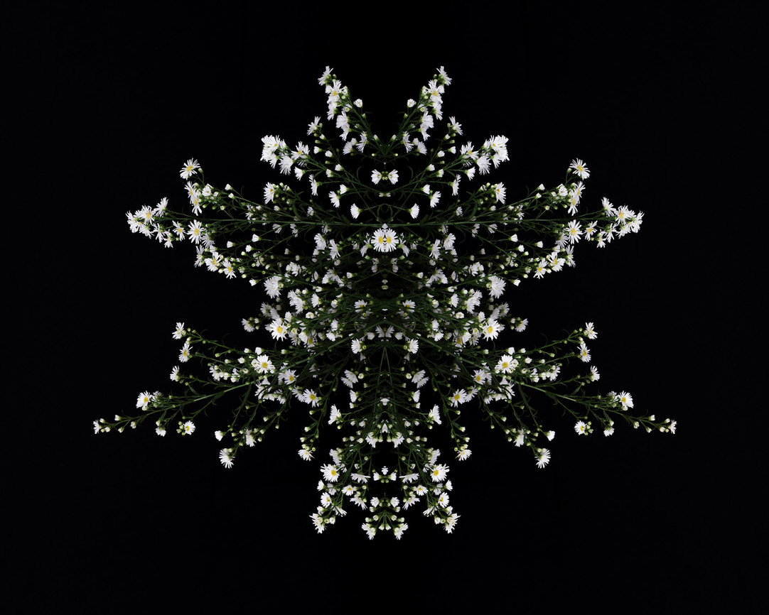 1/1
90X72 cm 1/1 50X40 cm