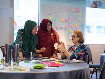 Professional Learning