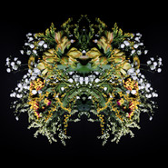 1/1
100X92 cm 1/1 50X46 cm