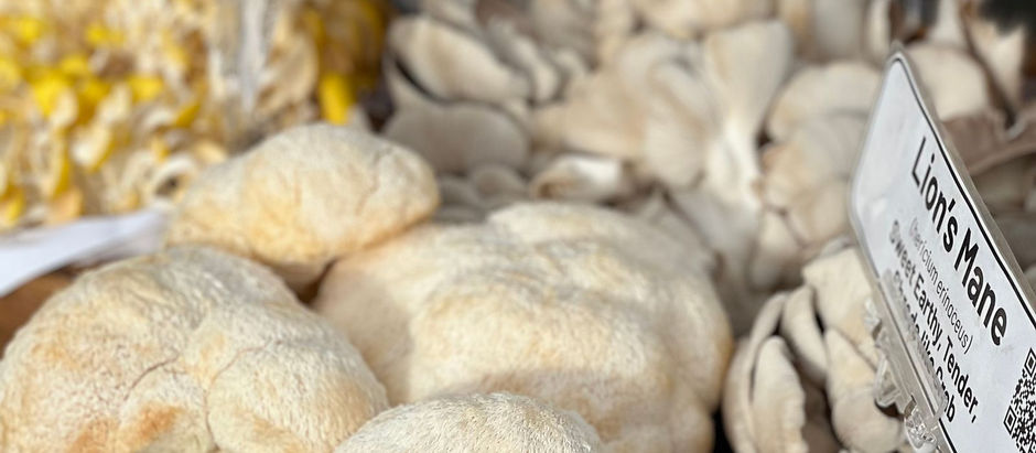 Functional Mushroom Product Development Guide | Herbify