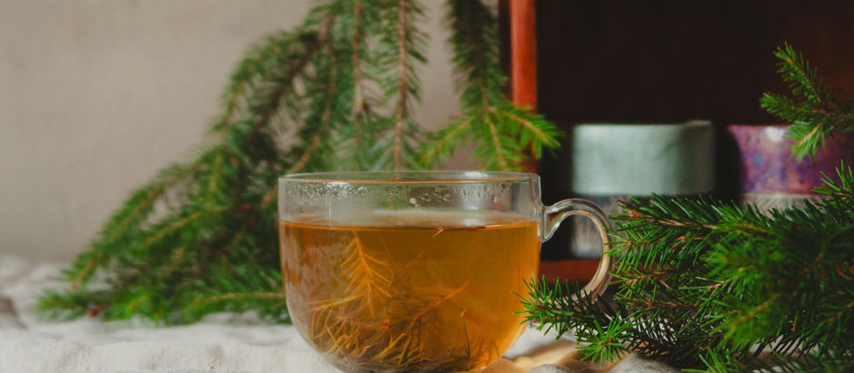 Botanical Ingredients for Sleep and Evening Products | Herbify