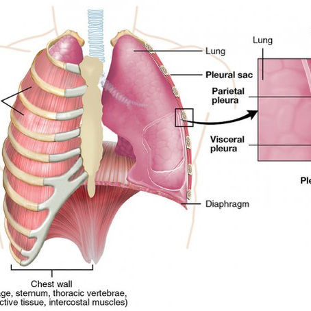 Lowering Mesothelioma Cancer Life Span